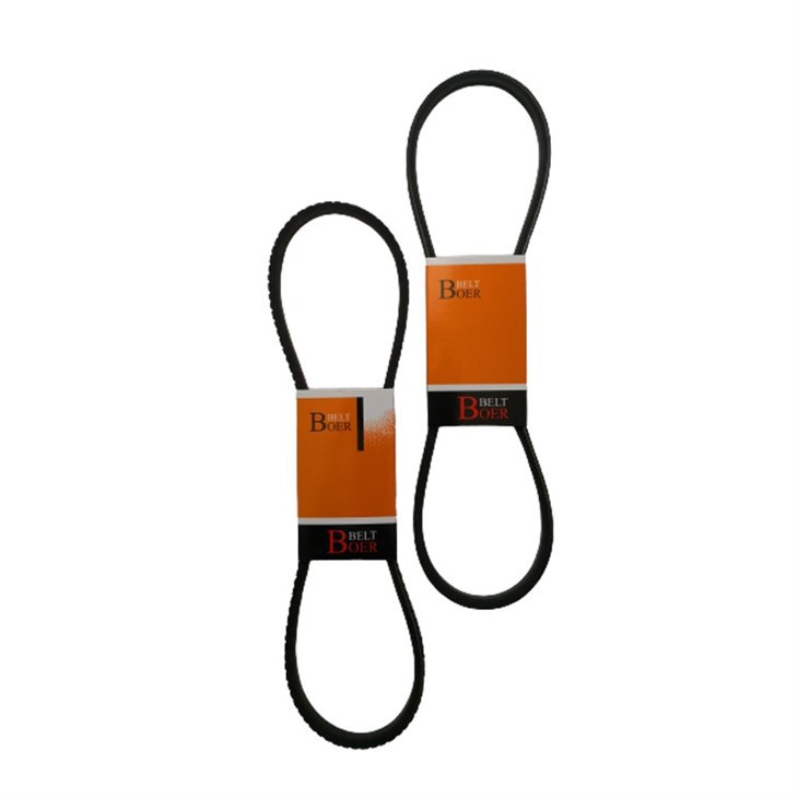 IMG_20190524_095203-removebg-preview